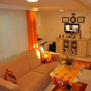 Deniz Manzarasi, Marti Sesleri Esliginde Apartment